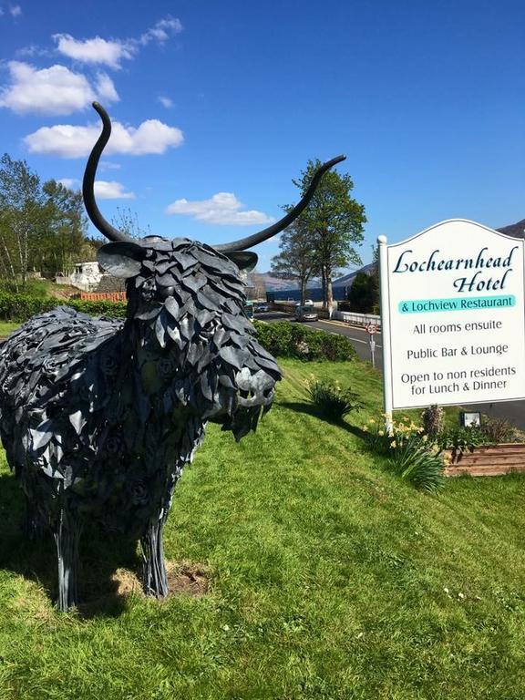 Отель Lochearnhead Hotel Лохернхед